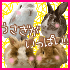 可愛いうさぎがいっぱい Line スタンプ Line Store 可愛いうさぎがいっぱい Line スタンプ Line Store