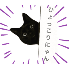 まんまるしっぽの黒猫 Lineクリエイターズスタンプ Stamplist