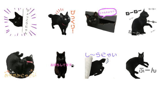 まんまるしっぽの黒猫 Lineクリエイターズスタンプ Stamplist