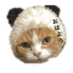 Arisa_20191102024120