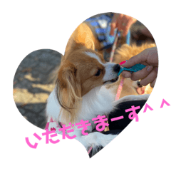 yukari_20191102073715