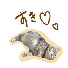 Cat sticker. 1