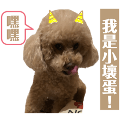 Rainie yu_Poodle princess
