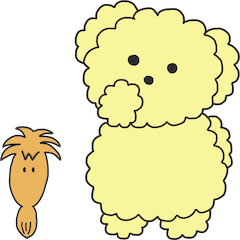 Pyonco&Poco