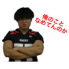 Ducks is our future future