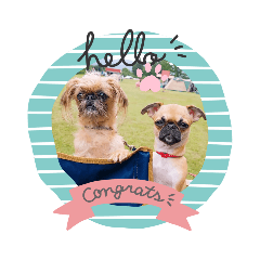 yukari_20191102122808