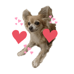 natsumi_20191102162331