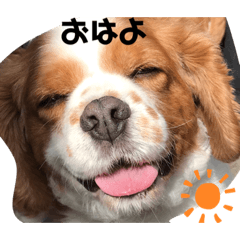 monaka_20191102204911
