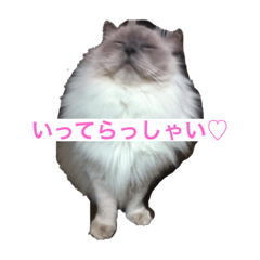 NAKA_20191102182845