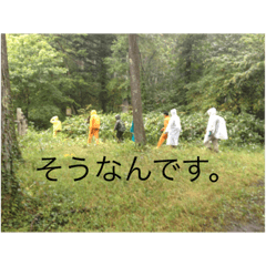 sei_20191102203616