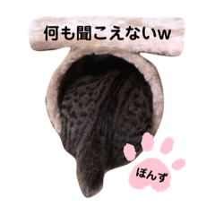 PON_20191102192559