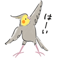 Yoga with birds(parakeet&paddy bird)