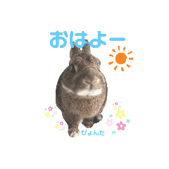 moka_20191102213033