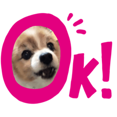 akaaaaaaaa