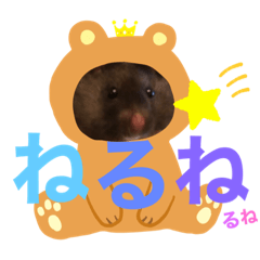 aoi_20191103003814