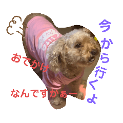 miyoko_20191103001829