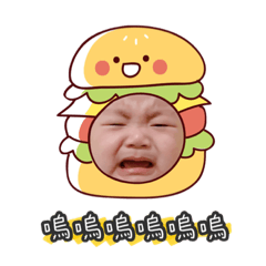皓皓的表情包 3