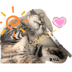 kazue_20191103130010