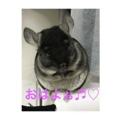 yukina_minimal