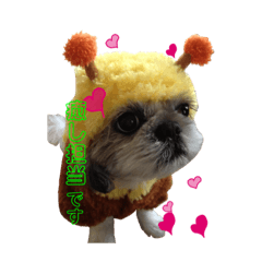 nanami_20191103153939