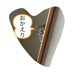 erika_20191103161629