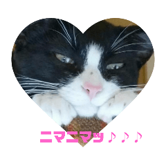 akiko_20191103160552