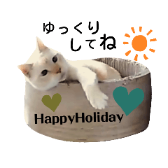 KURUMI_20191103171542