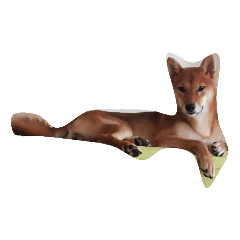 樂福的生活日常