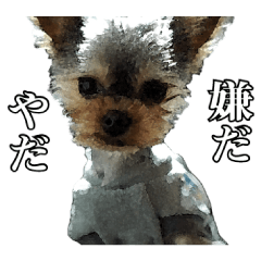 Yu-chan and his daily routine stamp! !