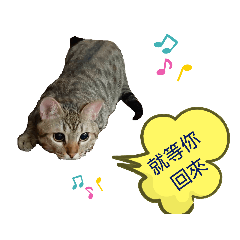可愛.寶貝