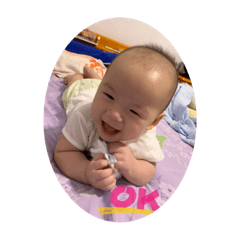 貼心寶貝豬之二