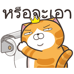 เหมียวซ่ากวนกำลังสอง