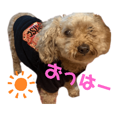 miyoko_20191103234226