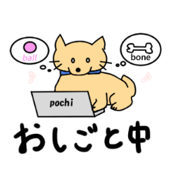 Pochi-kun's daily life