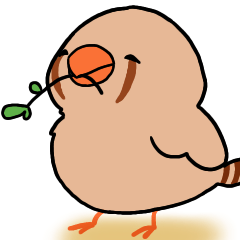 lovely Zebra finch