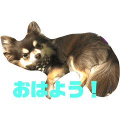 kuu0902