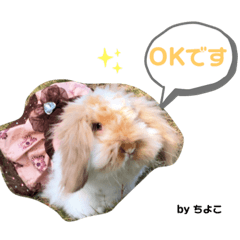 kurumi_20191104100339