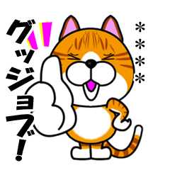 A slang tabby cat TORAKICHI