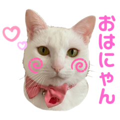 maichi_20191103230407