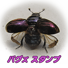 Bugs Photo Stickers