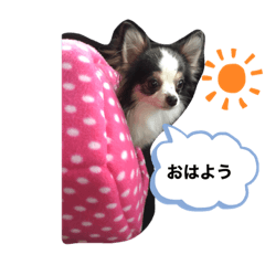 mina_20191104183336