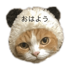 Arisa_20191104185725