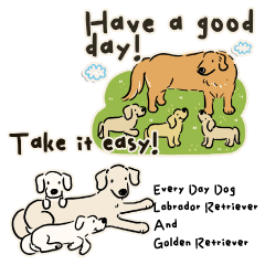 Labrador Retriever And Golden Retriever
