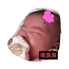 多恩的日常