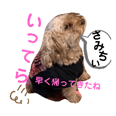 miyoko_20191104201823
