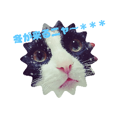 akiko_20191104220915