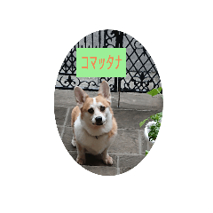 Andy_20191104225300