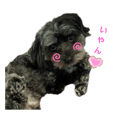 mame_20191105002141
