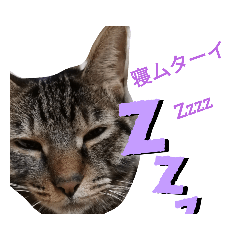 pon_20191105003630