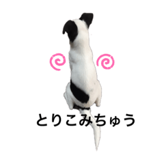 Nico_20191105091143